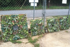 hanging-succulent-gardens