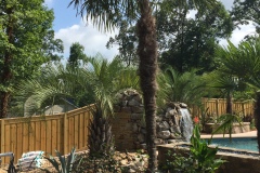 palm-tree-and-agave-I-installed-for-a-customer