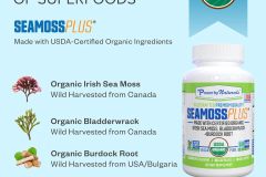 Organic-Wildcrafted-Irish-Sea-Moss-Bladderwrack-and-Burdock-Root2